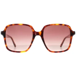 Ted Baker Sunglasses TB1688 100 Tortoise Pink Gradient