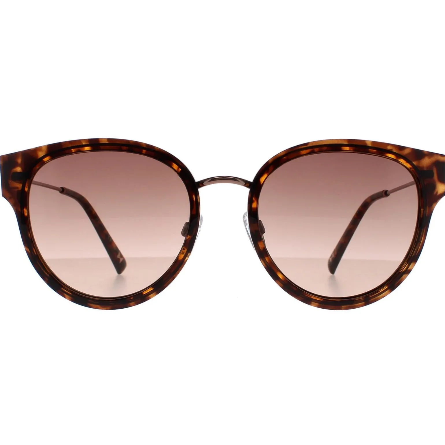 Ted Baker Sunglasses TB1659 Ayala 122 Havana Brown Gradient
