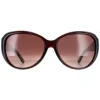 Ted Baker Sunglasses TB1290 Avignon 100 Brown Brown Gradient