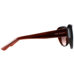 Ted Baker Sunglasses TB1290 Avignon 100 Brown Brown Gradient