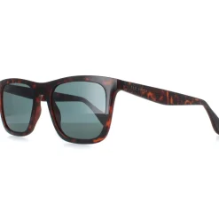 Ted Baker Sunglasses TB1680 Filipe 110 Milky Dark Brown Blue