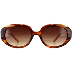 Ted Baker Sunglasses TB1689 Penny 104 Brown Horn Brown Gradient