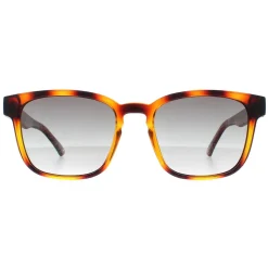 Ted Baker Sunglasses TB1635 Surf 122 Polished Dark Tortoise Grey Gradi