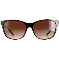 Tiffany Sunglasses TF4174B 81343B Havana On Tiffany Blue Brown Gradien